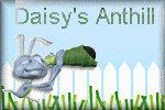 Daisy's Anthill